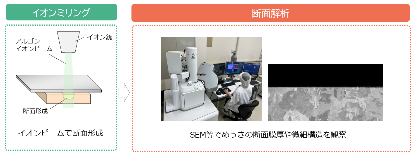 イオンミリングによる加工から断面解析までのプロセス